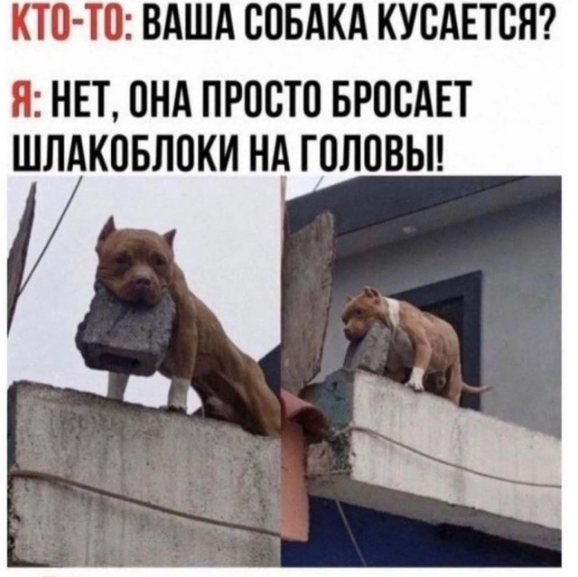 Улыбнись, не грусти!
