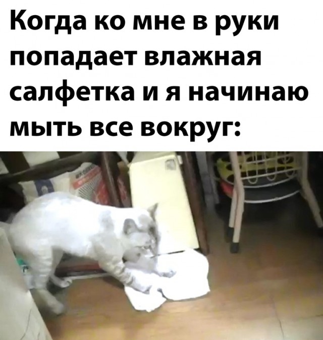 Картинки и мемы для настроения - 27