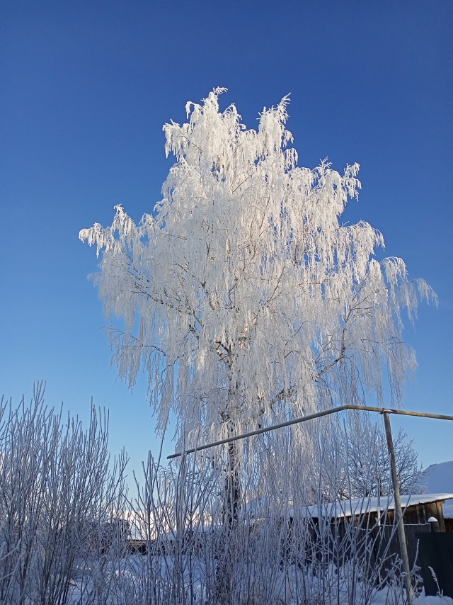 Первый день зимы (+Вивальди)