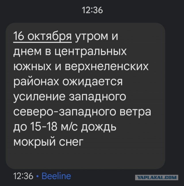 Скоро зима, настраиваемся потихоньку