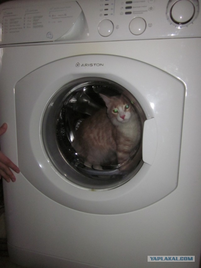 Почистил телефон