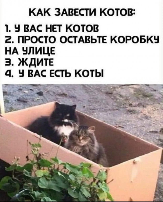 Маленькая пятница