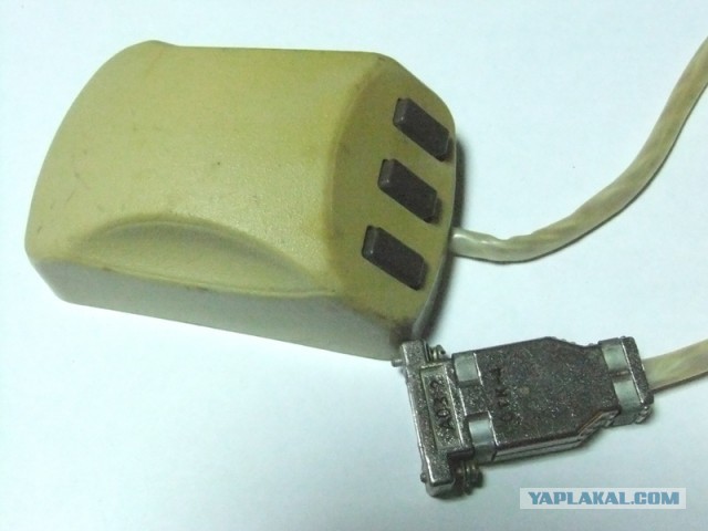 Мышиные яйца