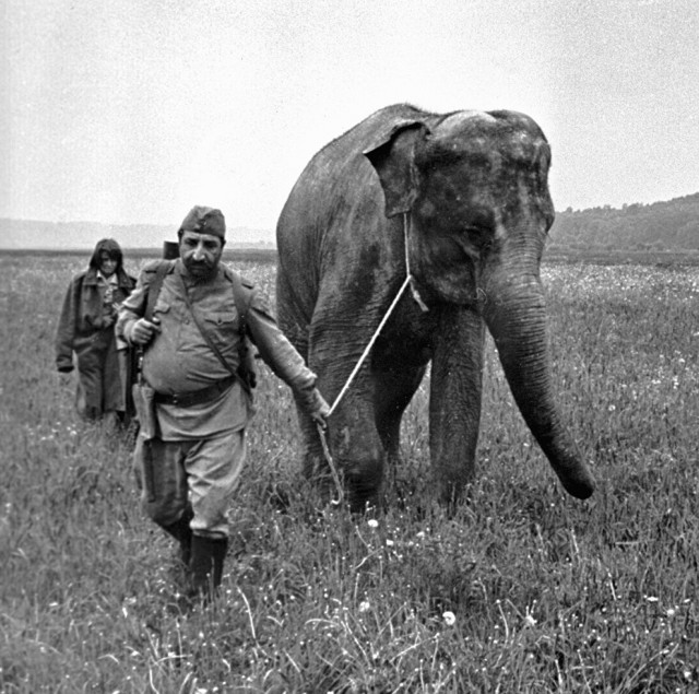 Фотографии из прошлого нашей страны – 63