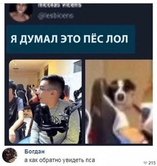 Картинки разные с надписями и без