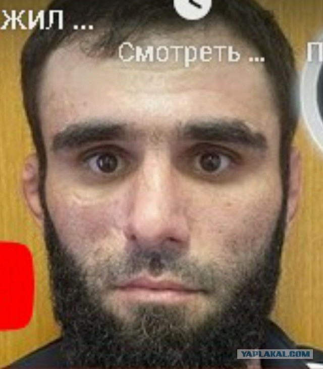 Зверское поведение: полюбуйтесь на 7 фотографий диких животных, которые стали финалистами конкурса WPOTY 2014