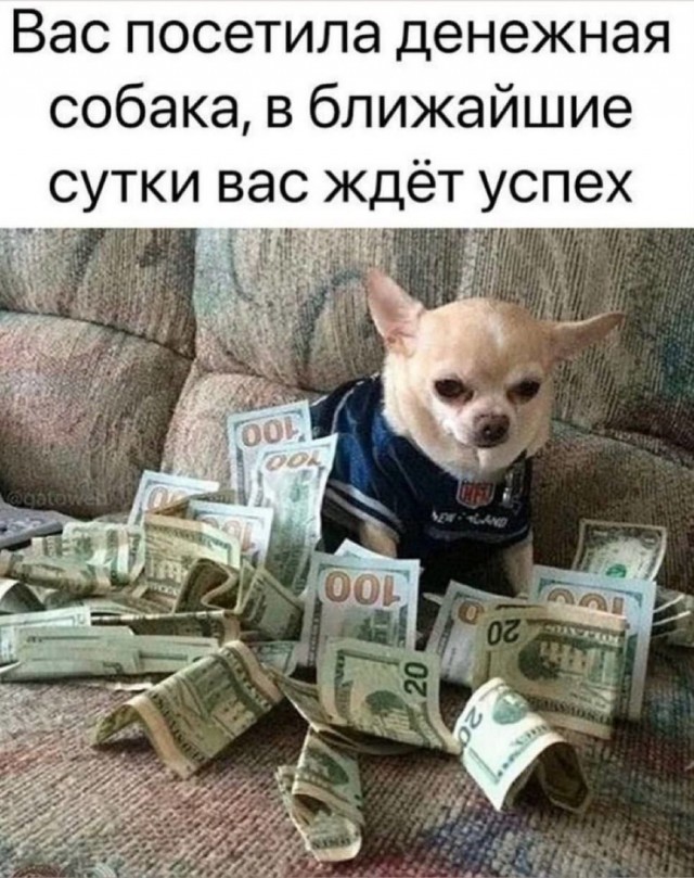 Так себе картинки 23.11.24