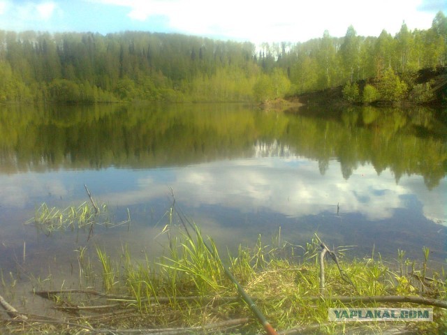 В дали от городской суеты