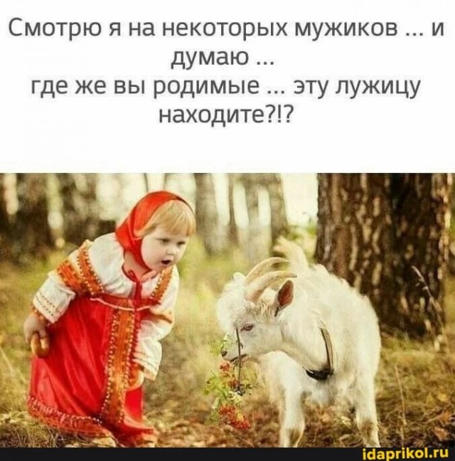 Всего понемногу. От 17.01.2025