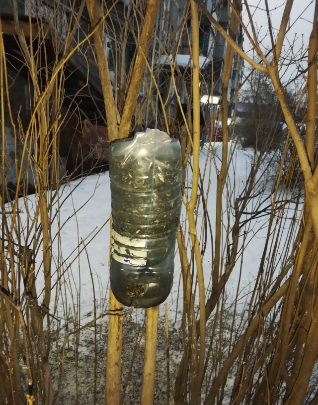 а у Вас какая кормушка?