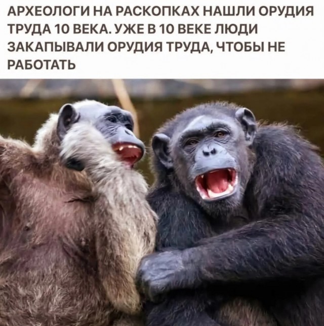 Завалялось тут случайно немного забавных картинок