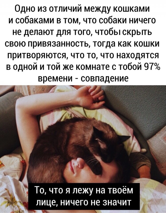 Четверг . Картинки для бодрого утра
