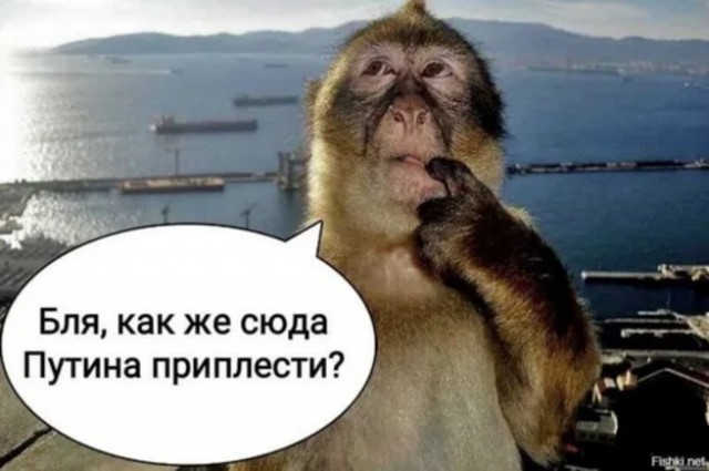Россия использует Беларусь в качестве полигона для шантажа Европы и мира «Орешниками», — Зеленский.