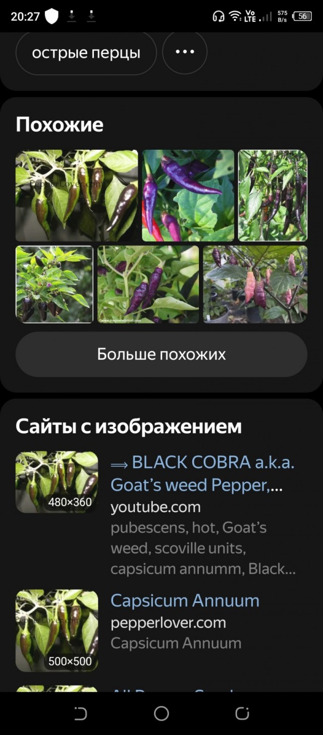 Вопрос перцеводам (2 фото)