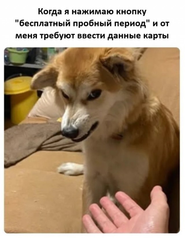 Так себе картинки 05.07.26