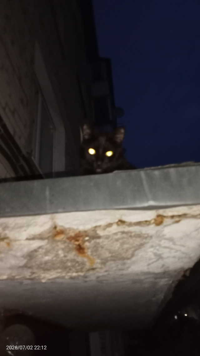 Выходи гулять