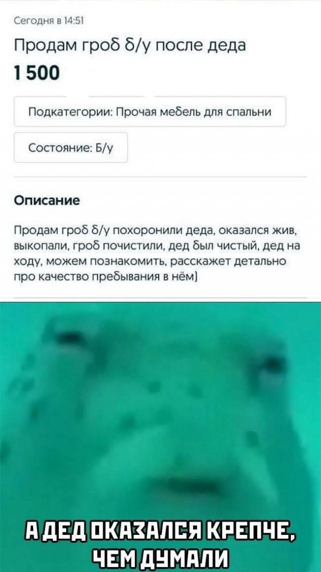Веселые картинки в пятницу (30.10)