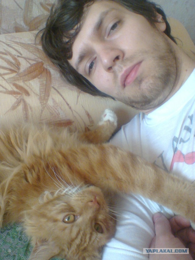 Котовторник 09.09.2014