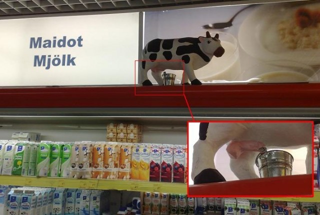 А много ль корова дает молока?