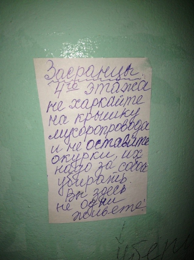 В нашем доме поселился замечательный сосед...