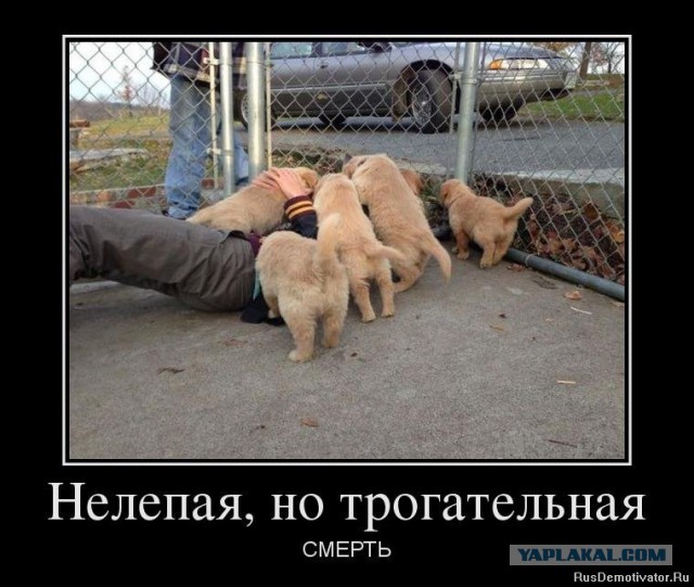Список необычных смертельных случаев.