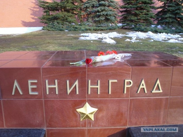 Письмо из блокады