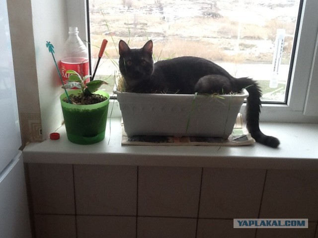 В тесноте, да не в обиде