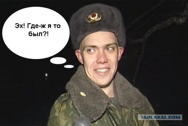 Пес спас кота