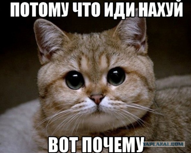 Эмоции врача