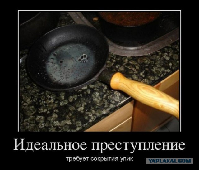 Кто съел сметану?