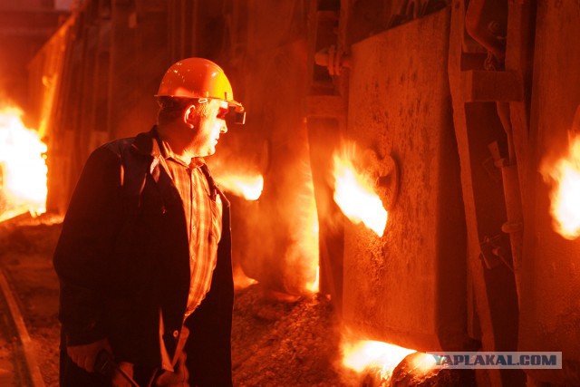 Трудовой народ в лицах