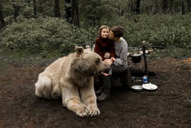 Домашний медведь Степан снялся в фотосессии