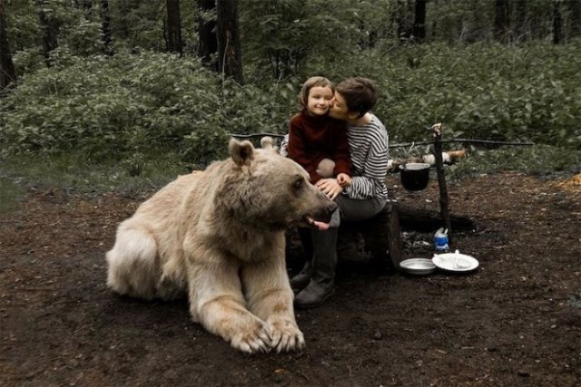 Домашний медведь Степан снялся в фотосессии