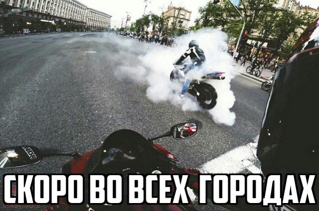Подборка безудержного веселья