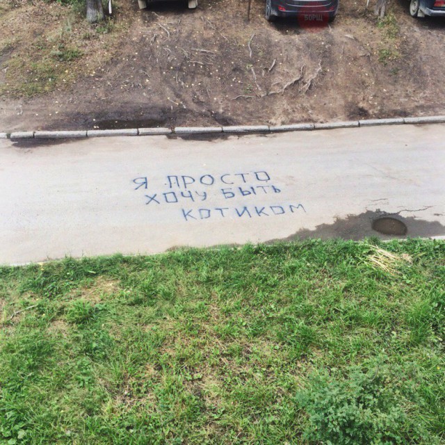 Смешные картинки