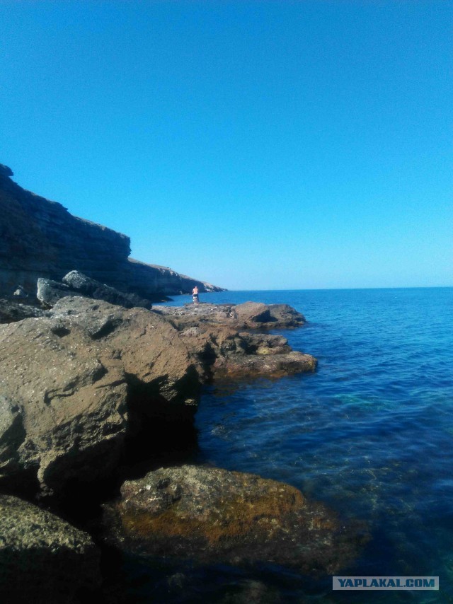 Не попал на море в этом году? Отведи душу, посмотри этот пост!
