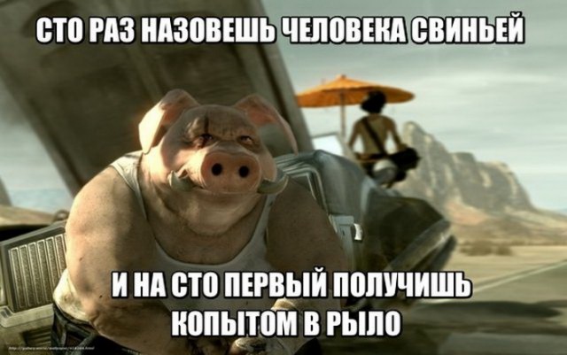 Подборка интересных и веселых картинок