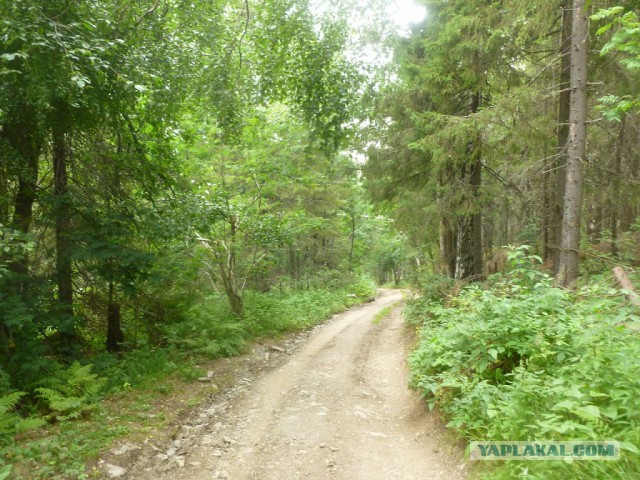 Лично мне не нужен берег турецкий