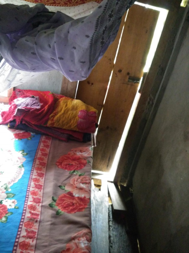 К живым мостам и обратно. Заметки из Индии