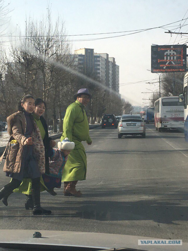 Жизнь в Монголии