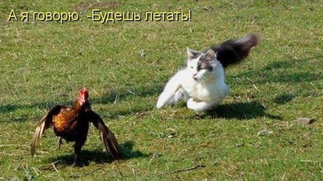 Картинки по-приколу