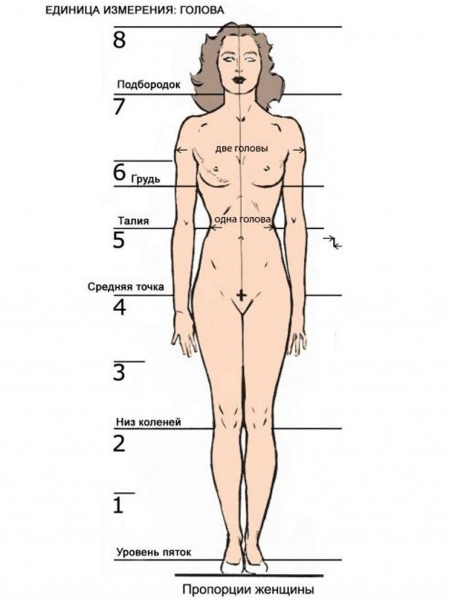 Всякие разные жизненные шпаргалки и таблицы