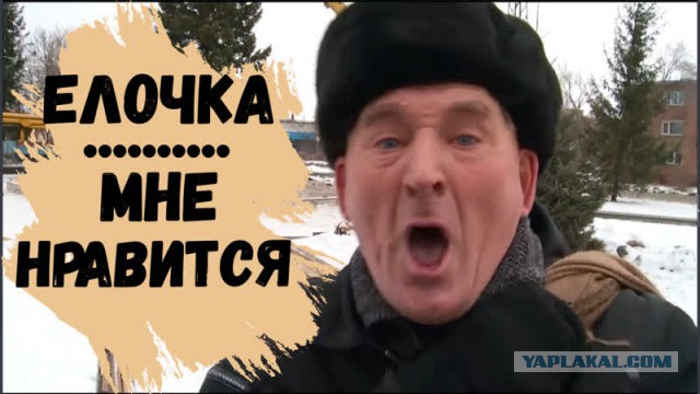 Как перевозят кремлевскую елочку