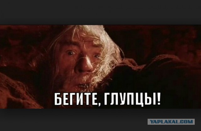 Боец украинской Нацгвардии приговорен к 24 годам тюрьмы за убийство репортера на Донбассе