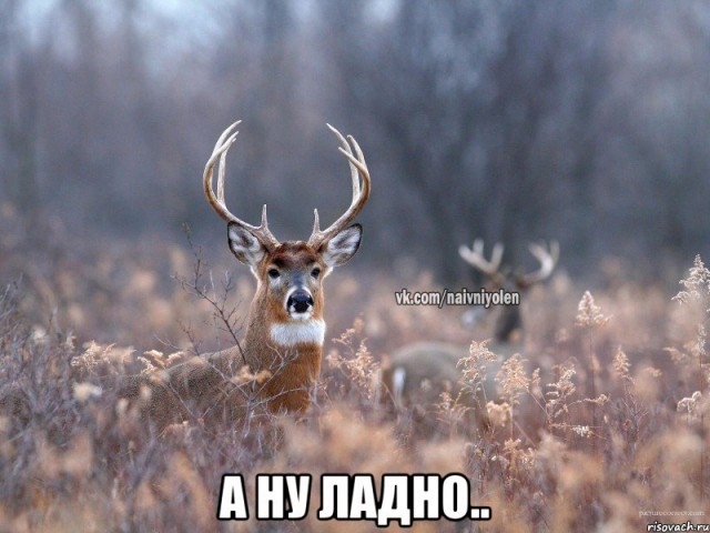 Девушка намекает пнуть?