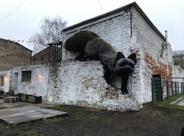 Зловещая Лиса из Латвии