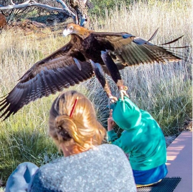 Удачный кадр. Фотопост