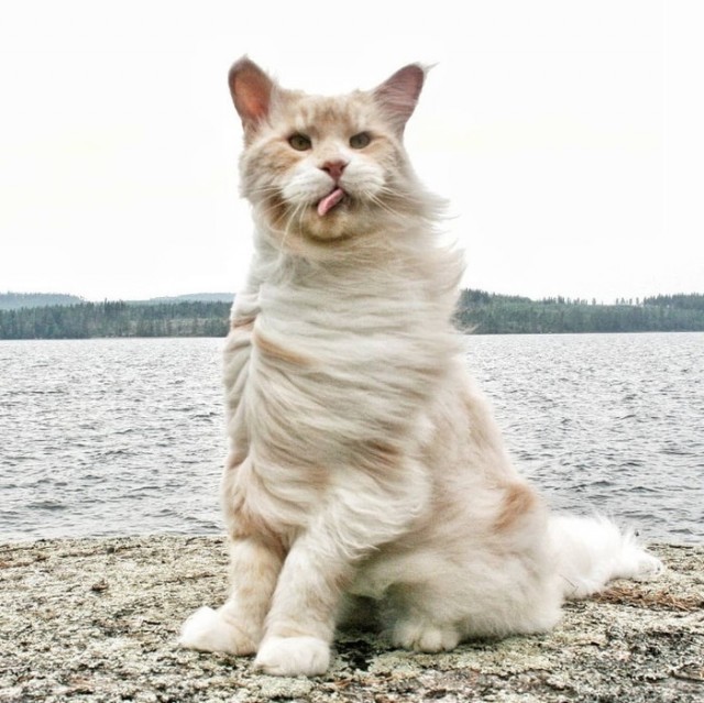 Добрые картинки 28.11.20