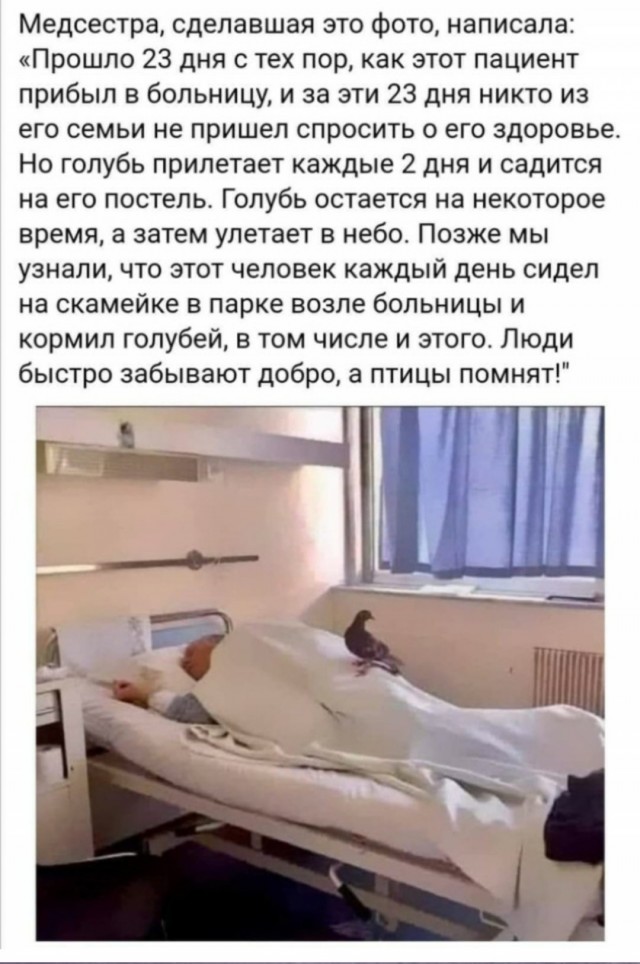 Всяческие картинки 24.11.2021
