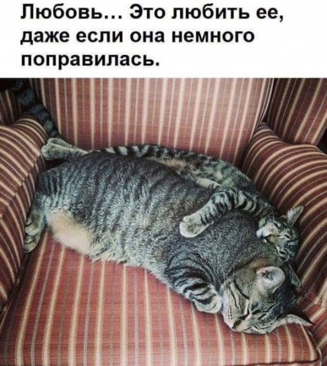 Чуток картинок 17.12.21